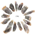 Melody Raw Stone Points (Super 7) (1 Pound) Size 2 to 4 Inches Bulk Wholesale Lot Crystal Minerals by Crystal River Gems