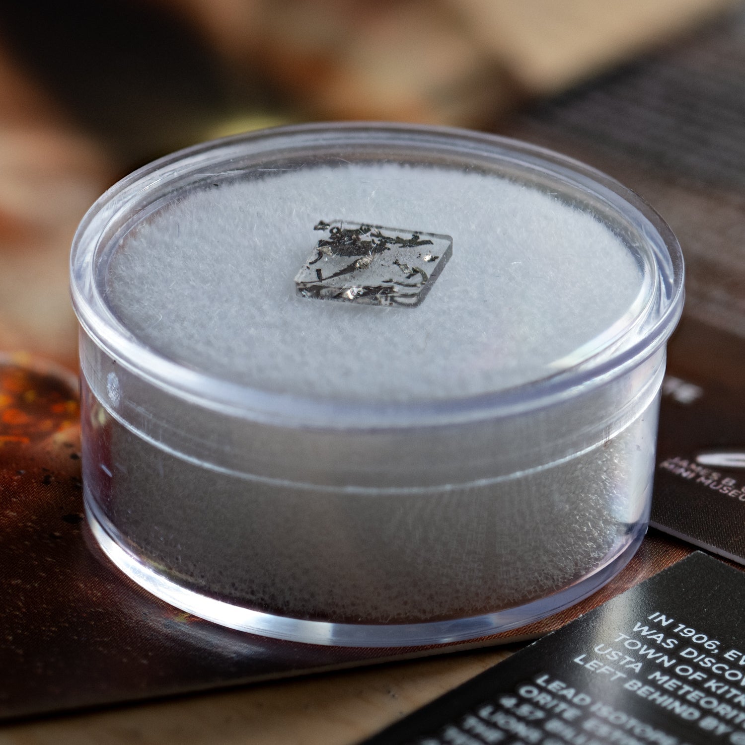 Muonionalusta Meteorite - Extraterrestrial Metal Fragments