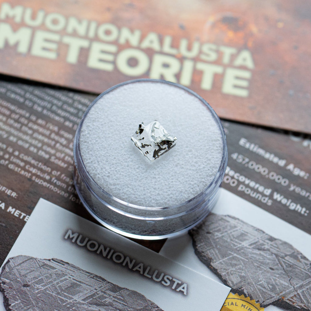 Muonionalusta Meteorite - Extraterrestrial Metal Fragments