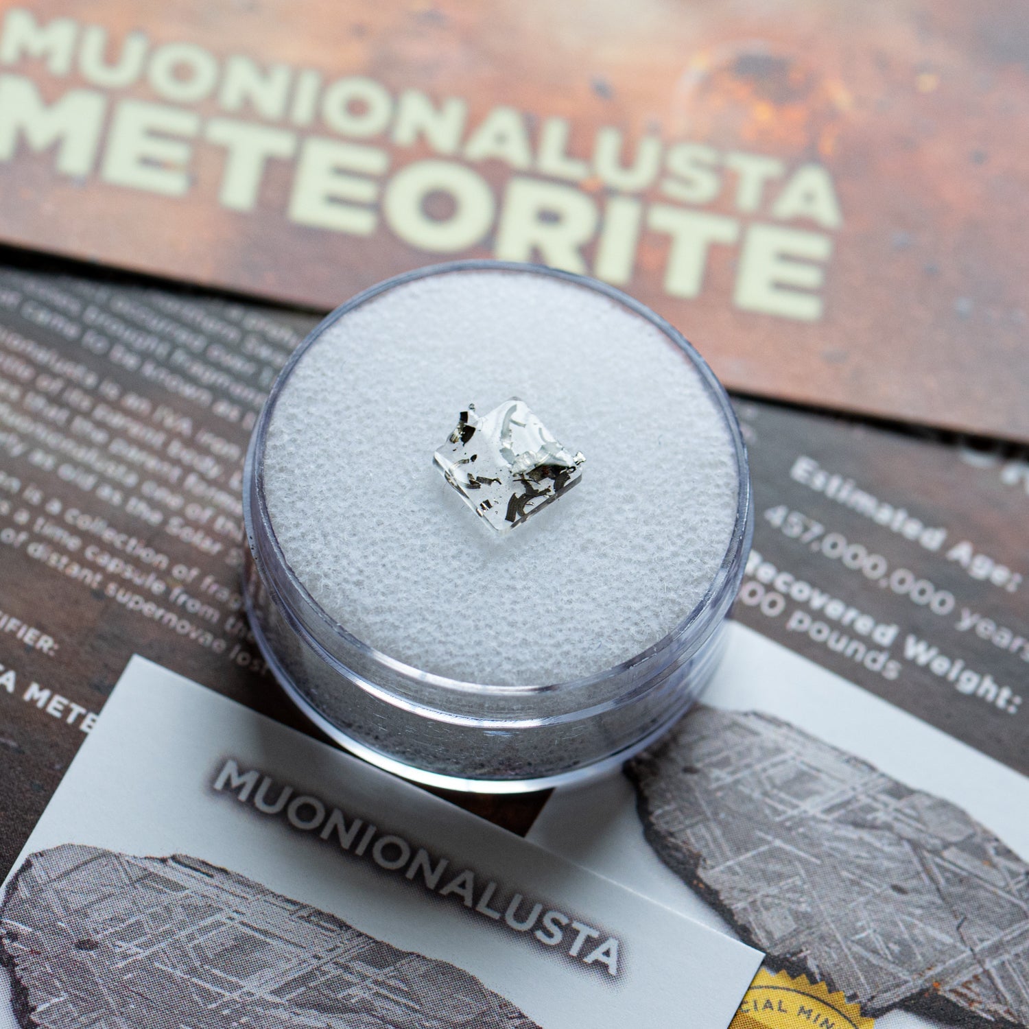 Muonionalusta Meteorite - Extraterrestrial Metal Fragments
