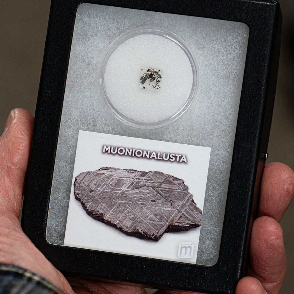 Muonionalusta Meteorite - Extraterrestrial Metal Fragments