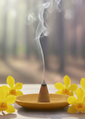 Nag Champa Incense Cones by Enchanted Soul