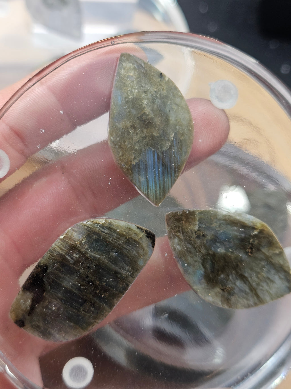Labradorite coaster set by CrystalCloud Company