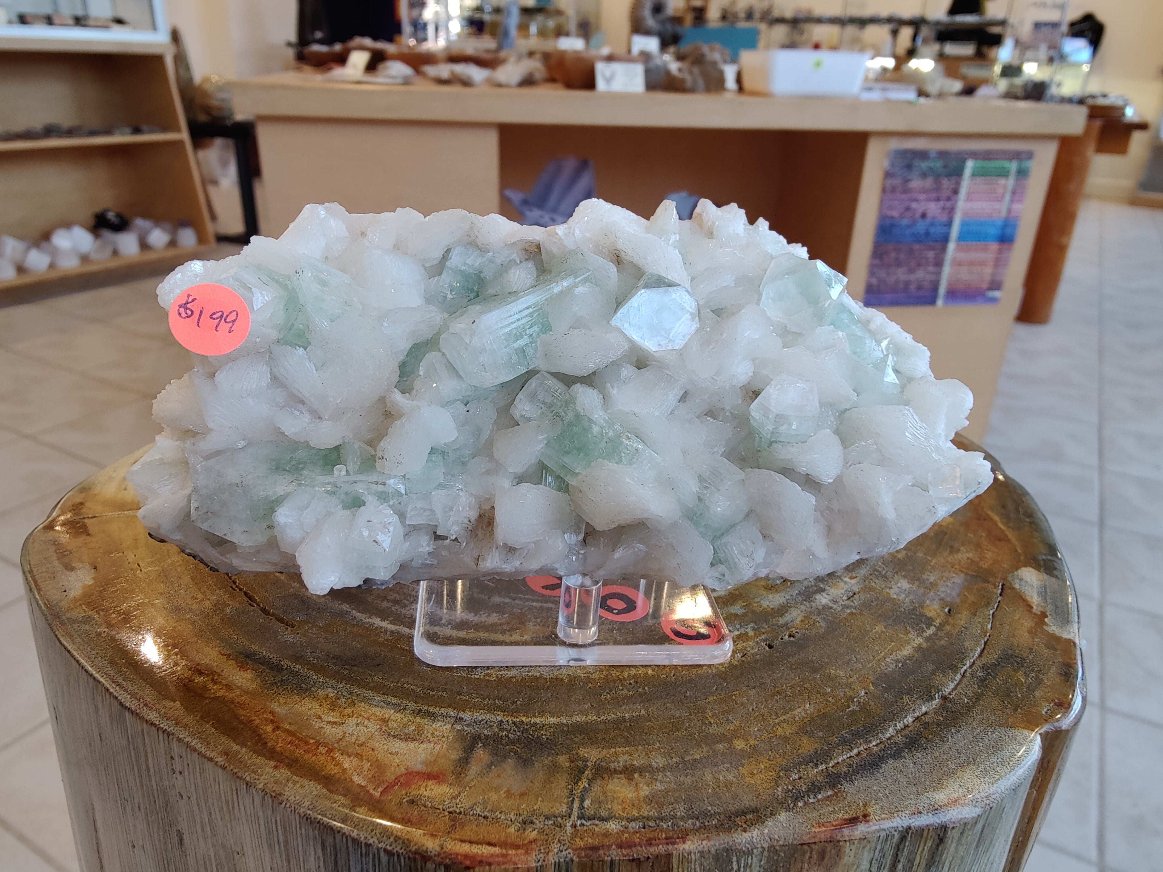 1.34 LB Light Green Apophyllite by Rare Earth Gallery