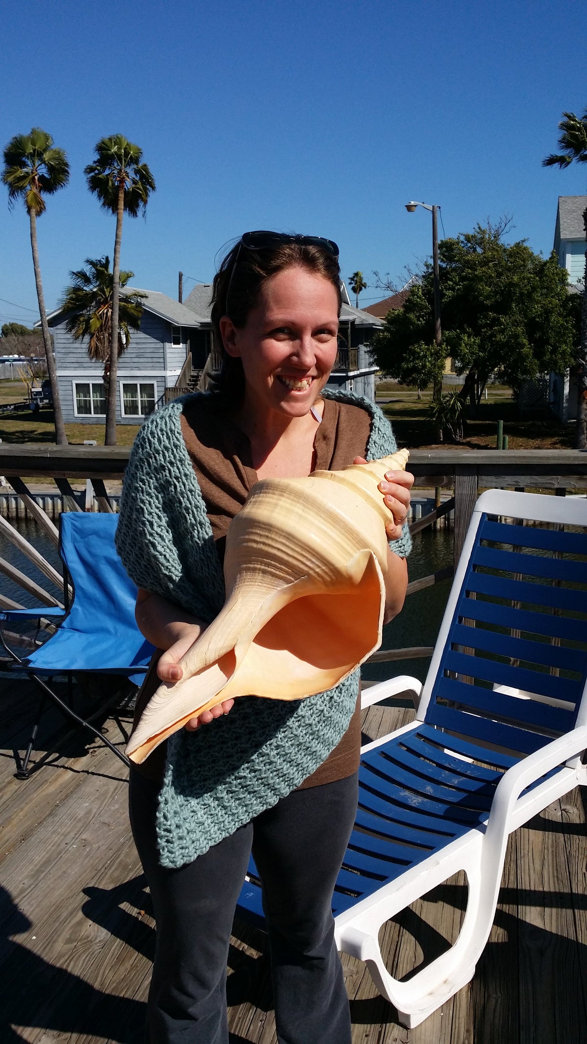 Syrinx aruanus- Australian Trumpet Shell – Rare Large Natural Display Seashell