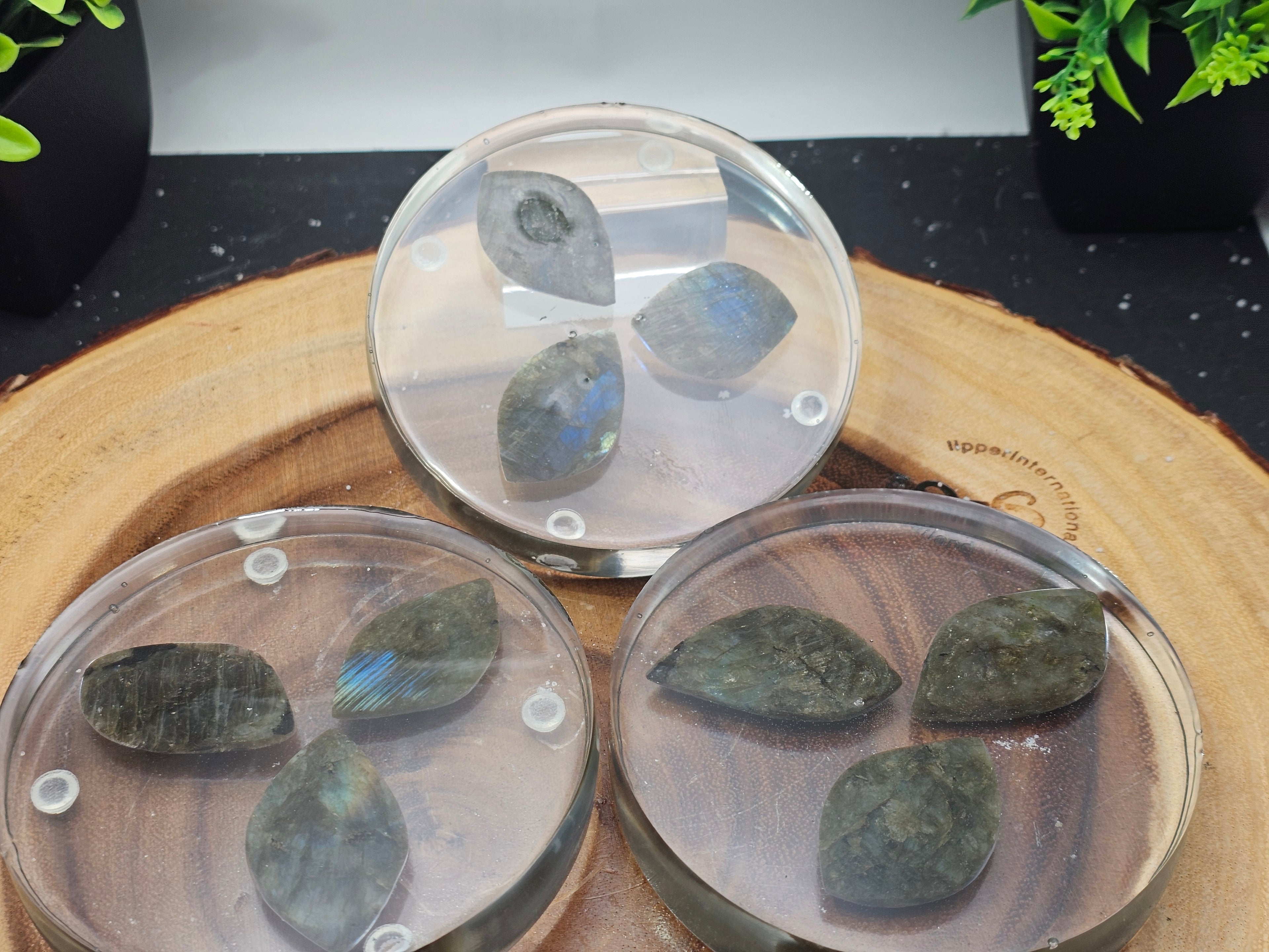 Labradorite coaster set by CrystalCloud Company