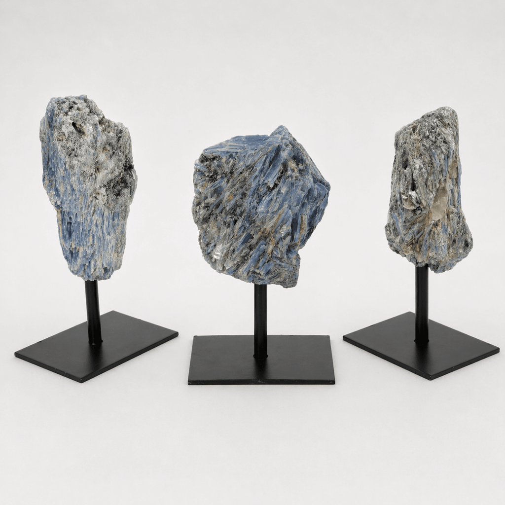 Rough Kyanite on Metal Stand by Crystal River Gems