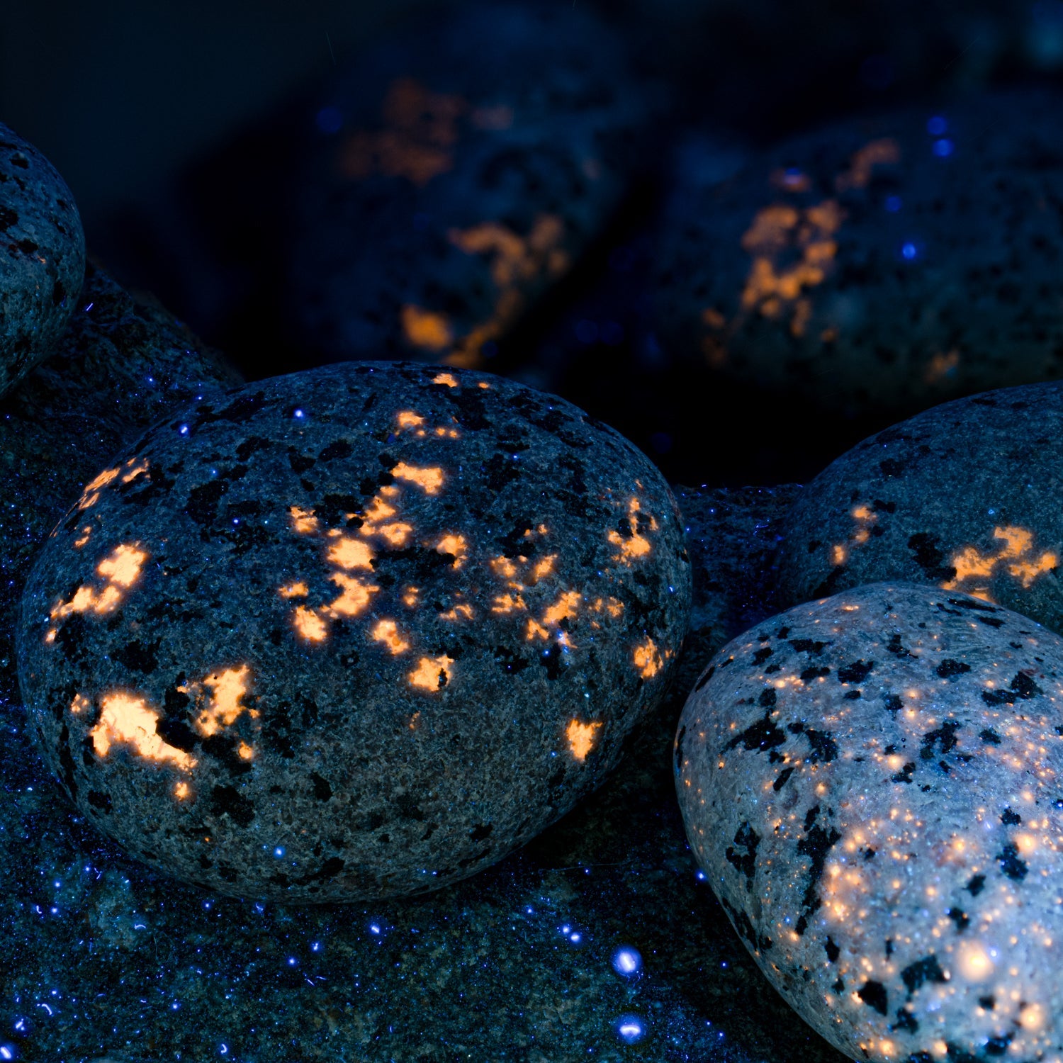 Shining Syenite - UV Glow Rocks