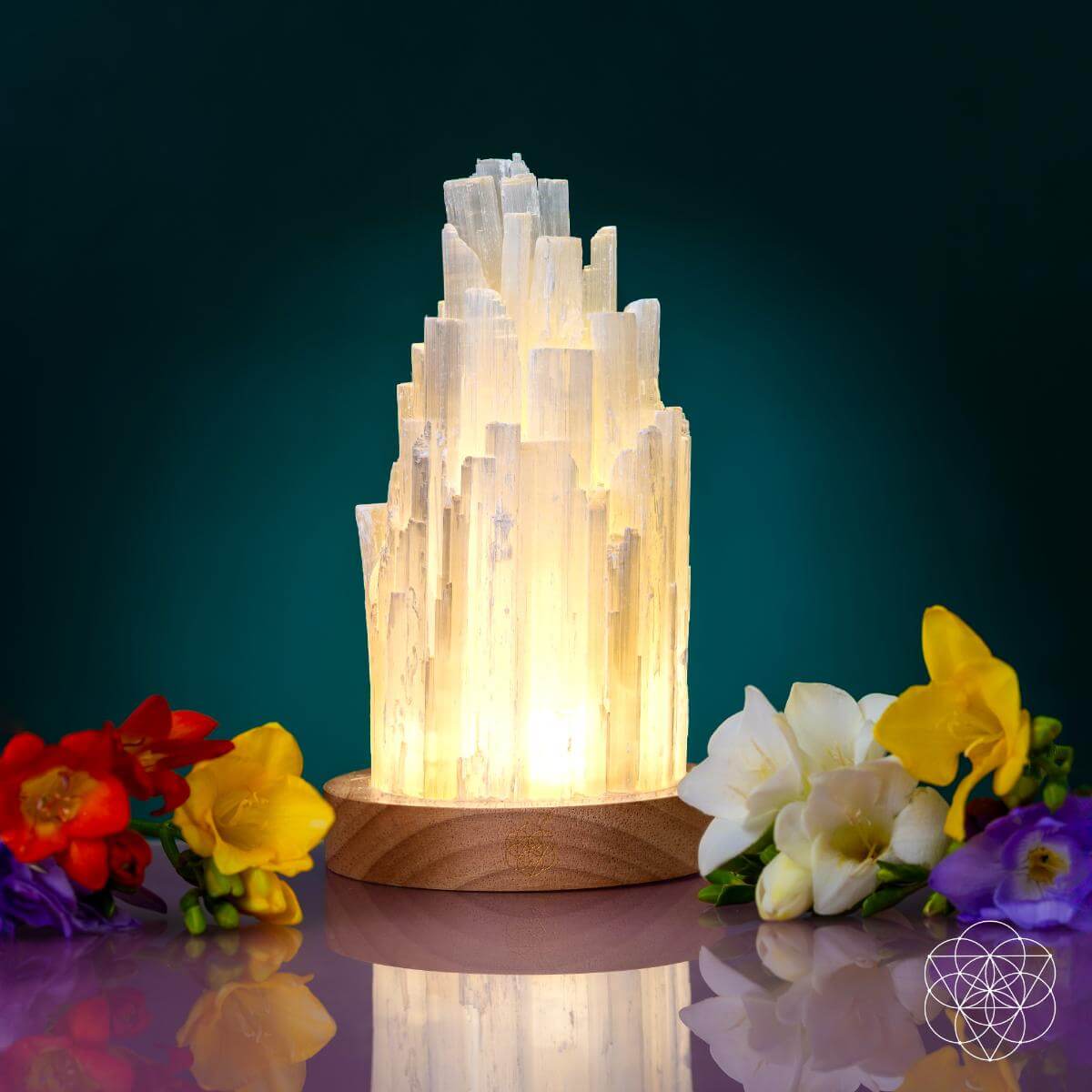 The Cleanse-All Selenite Lamp - 2 Pounds of Healing Power by Conscious Items