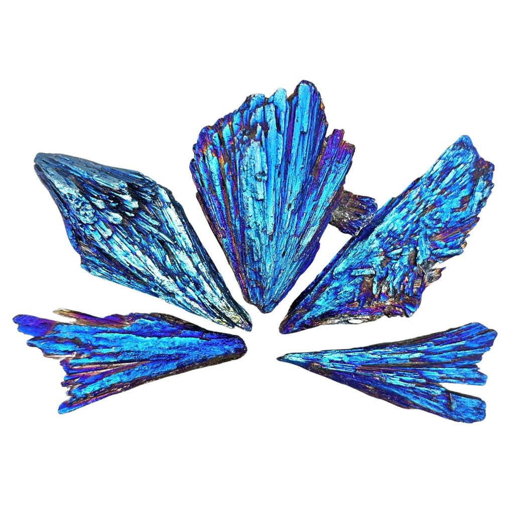 Titanium Blue Kyanite Fan (Size 1.5 to 3 Inches) Wholesale Raw Crystals Minerals Gemstones by Crystal River Gems