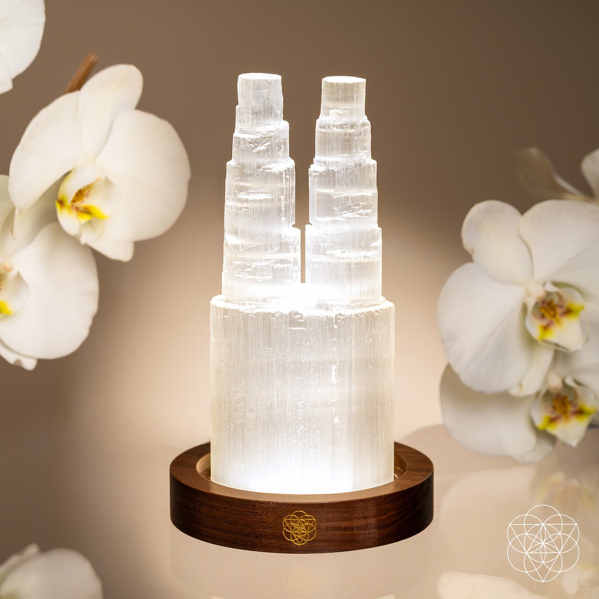 Two-Tower Selenite Lamp – Deep Energy Cleanse & Reset by Conscious Items