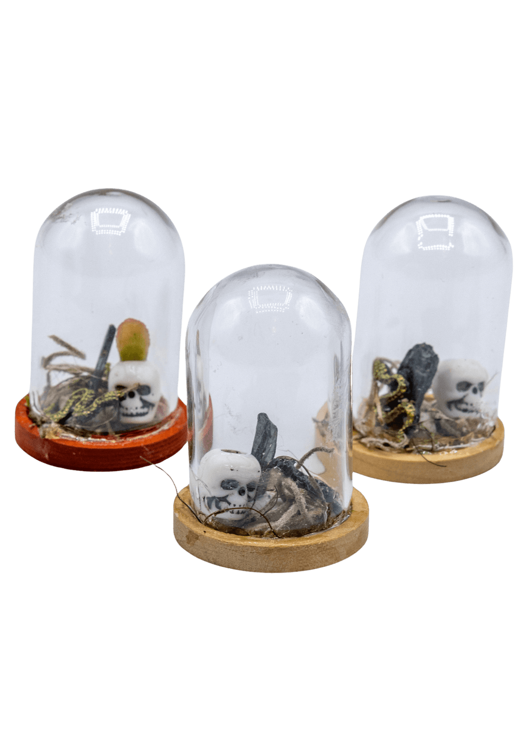 Vivianite Terrarium in Glass Dome by Enchanted Soul