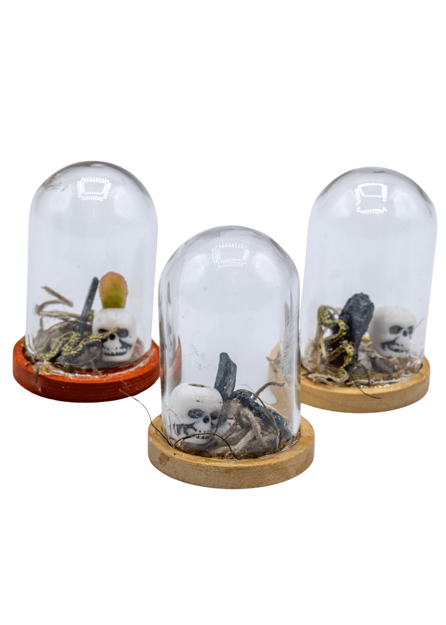 Vivianite Terrarium in Glass Dome by Enchanted Soul