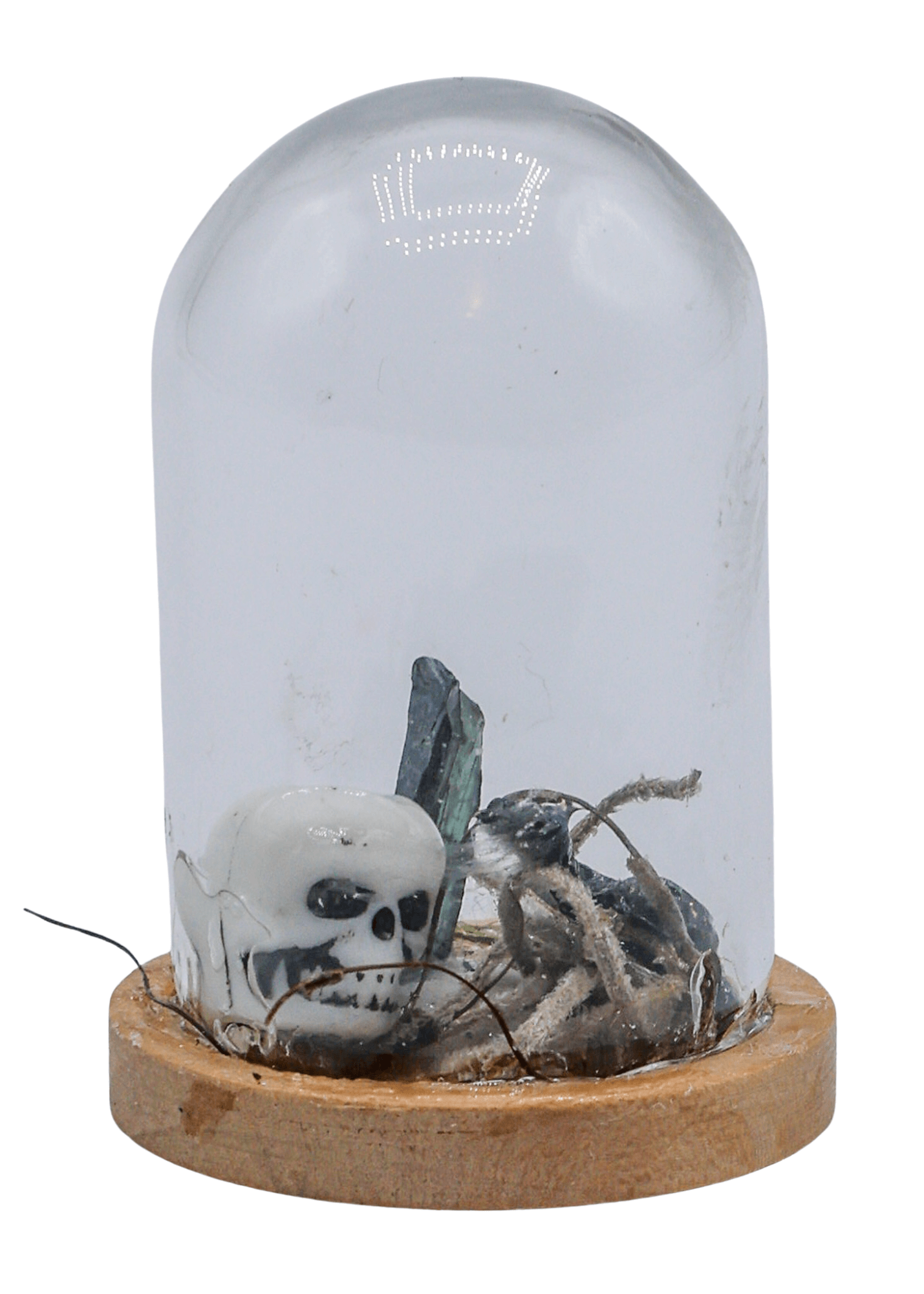 Vivianite Terrarium in Glass Dome by Enchanted Soul